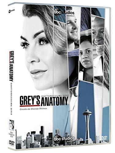 Grey's Anatomy, Vol. 14 (Box Set) (6 DVD)