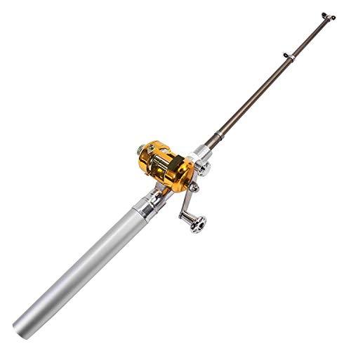 DIGIFLEX Mini canna da pesca tascabile e bobina dorata - argento