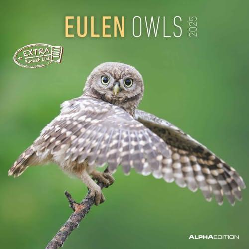Owls 2025 CALENDARIO DA PARETE 30X30 CM