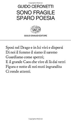 Sono fragile sparo poesia