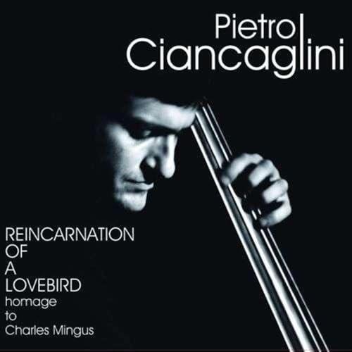 Reincarnation Of A..