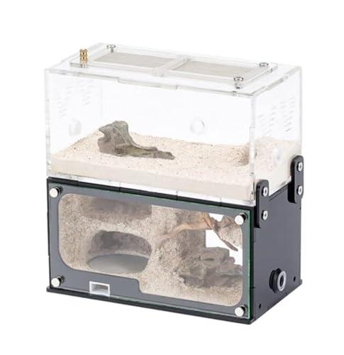 Formicaio Casette Formiche Formicaio in Cemento con Area di Caccia Espansione Verticale Illimitata Nido di Formiche Formicaio per Animali Domestici Castello da Officina Formiche per Adulte(15cm)
