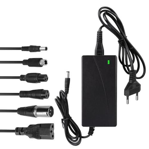 Weciau Caricatore Monopattino Elettrico, 42V 2A Caricatore Hoverboard, caricatore Bici Elettrica con 6 Connessioni per Scooter Elettrico, Hoverboard, Bicicletta Elettrica