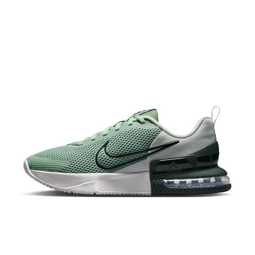 Nike M Air Max Alpha Trainer 6 Scarpe da Atletica da Uomo, Nero (Steam Black Spruce Spruce Aura off White), 42.5 EU