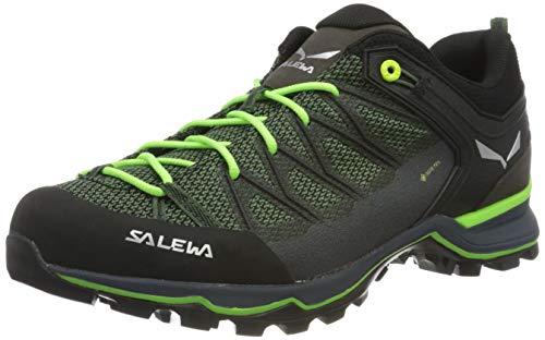 SALEWA Ms Mountain Trainer Lite Gore-tex, Scarpe da Trekking e da Escursionismo Uomo, Verde Myrtle Ombre Blue, 44 EU