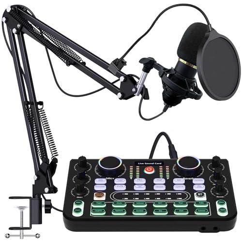 Rubehow Mixer DJ Controller Interfaccia scheda audio, adatta per live, registrazione, PC, karaoke e voce di gioco