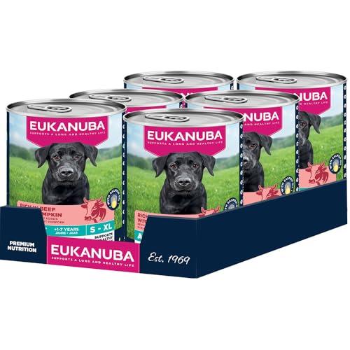 EUKANUBA Cibo umido per cani con manzo e zucca, Alimento umido premium senza cereali per cani adulti, 6 barattoli da 400 g