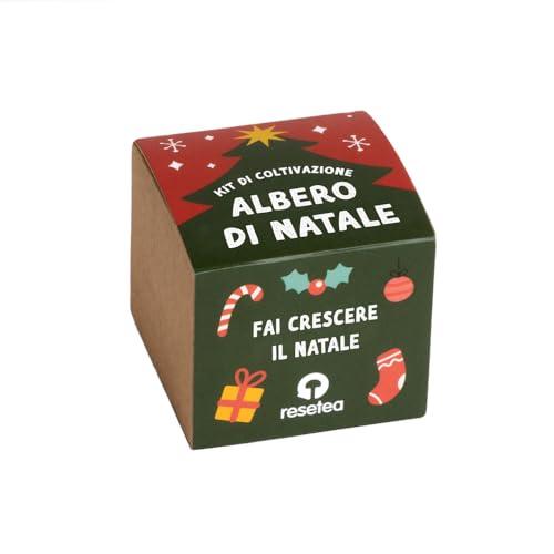 Kit Albero di Natale | Coltiva il Tuo Albero Natalizio a Casa | Regalo Originale, Sostenibile e Affascinante | Resetea