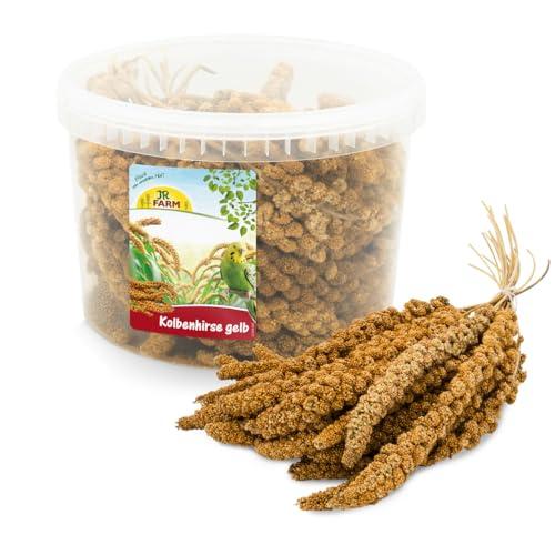 JR FARM Birds miglio pallone giallo in secchio 500 g