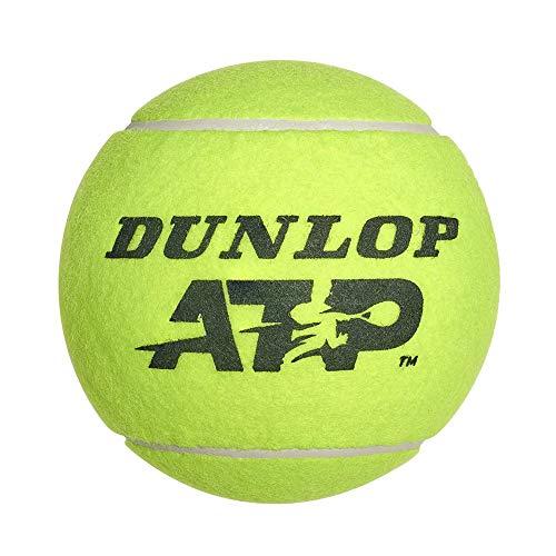 DUNLOP 10288327 Palla Gigante Atp 9 Pollici, Multicolore