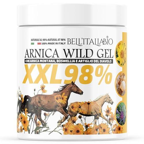 Arnica Gel Forte Wild XXL 98% 600ml con Arnica Montana, Boswellia e Artiglio del Diavolo Forte Sollievo Immediato per Muscoli Naturale Dermatologicamente Testato Made In Italy