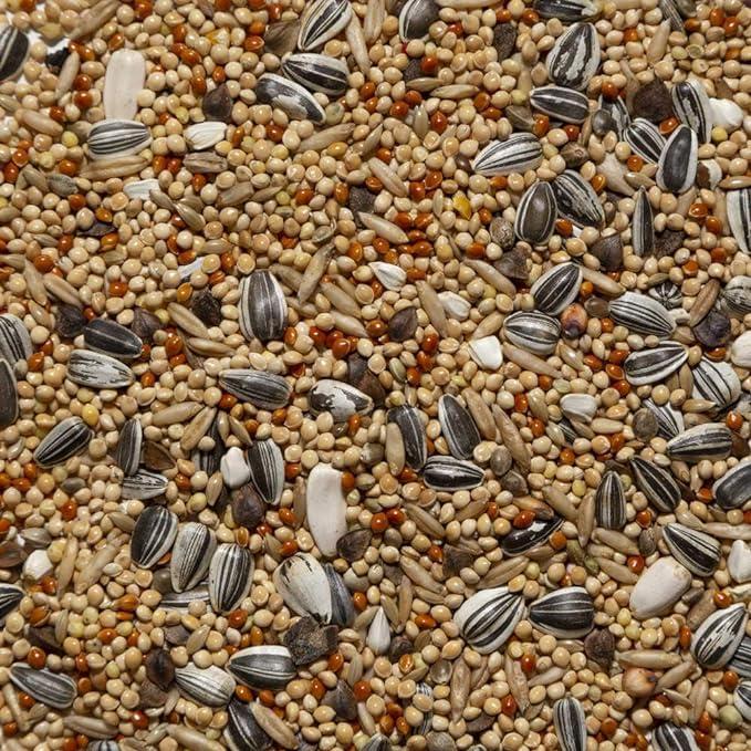 Il Contadino - Antichi Becchimi | MISCUGLIO per PARROCCHETTI | Formula ricca di semi Selezionati adatta per tutto l'anno, No OGM, 100% Vegetale, Assenza di scarti. Qualità Superiore (1 Kg)