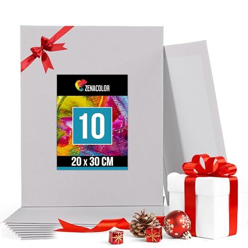 Zenacolor Set di 10 Tele per Dipingere - 100% Cotone Senza Acidi - Tela per Dipingere 20x30 cm - Tutti i Tipi di Pittura su Tela