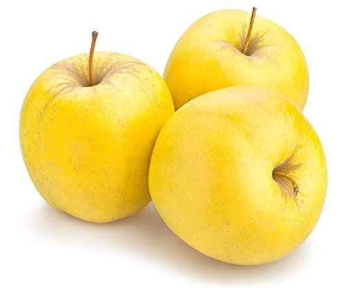 Melinda Mele Golden, 750 Gr., Cat. I