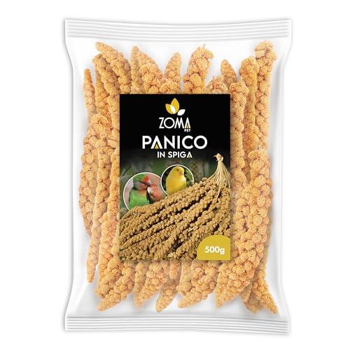 ZOMAPET spighe di panico per pappagalli 500gr, mangime pappagalli naturale ideale anche per cocorite e uccelli esotici - Made in italy