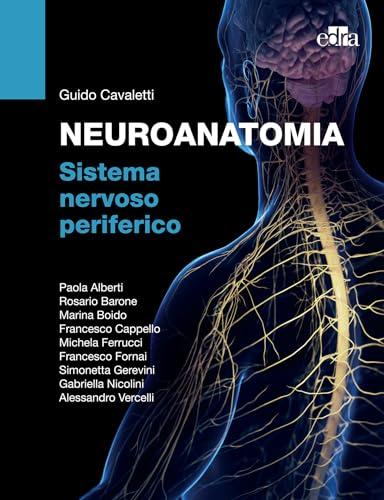 NEUROANATOMIA Sistema nervoso periferico