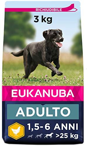 Eukanuba, Cibo Secco per Cani Adulti Molto Attivi, Taglia Grande, 18 Mesi - 6 Anni, Crocchette con Pollo, 3 kg