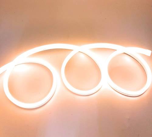 Striscia LED al neon flessibile impermeabile IP65 5 metri 120 LED/m 12 V colore caldo