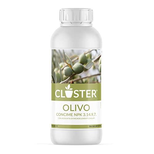 CLOSTER Concime Liquido per Olivo con Azoto Rame Fosforo e Potassio - con Chelati di Ferro Fertilizzante Piante Verdi per Interno, Giardino e Orto, Per Ulivi 1 Litro