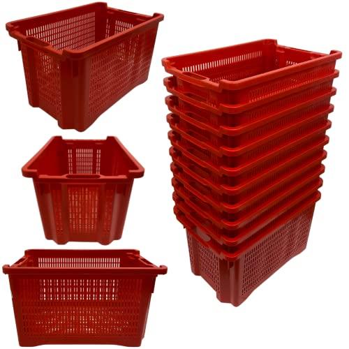 Cassetta Agricola con Fondo Traforato in Plastica, Cesta per Raccolta Olive, Impilabili e Sovrapponibili, Con Manici, 40 Litri, cm. 56x35x31 (10)