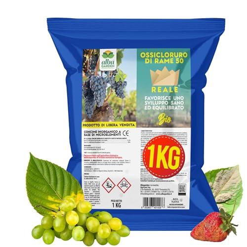 Albagarden - Ossicloruro Di Rame 50% + Boro - Verderame Per Piante, effetto Fungicida per Piante - Concime contro Malattie Peronospora, Bolla del Pesco, Oidio - Polvere Bagnabile Biologica x 1 kg