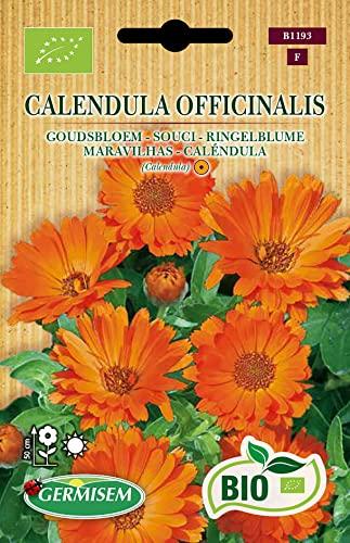 Germisem Biologico Calendula Officinalis Semi di Calendula 2 g