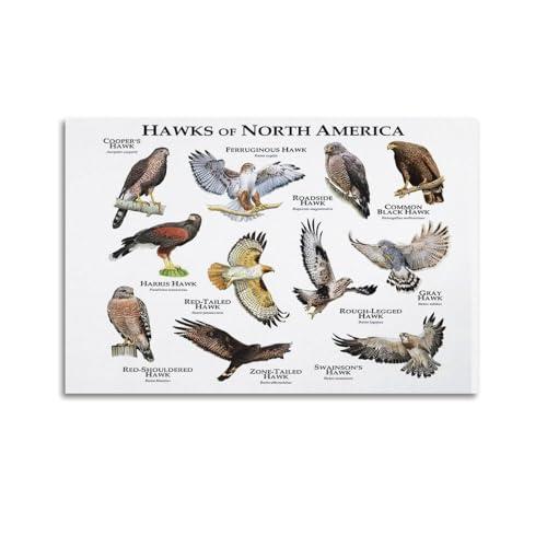 HNPBB Poster decorativo da parete con uccelli rapaci, motivo: aquile e avvoltoi, stampa artistica su tela, poster decorativo moderno per camera da letto, per camera da letto, 60 x 90 cm