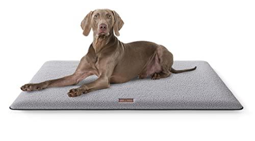 Knuffelwuff Morbido tappetino per cani Calliope in materiale Teddy, 100 x 70 cm, colore grigio, per cani di taglia grande, media e piccola, per casa, auto, camper, roulotte
