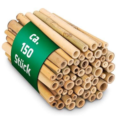 GARDIGO® Tubi di Bambù per Casetta delle Api - 150 Pz. | Canne Resistenti e Naturali per Nidi di Api | Accessori Hotel per Api, Casa per Insetti | Bastoncini di Bambù h.12,5cm / Ø4-12mm
