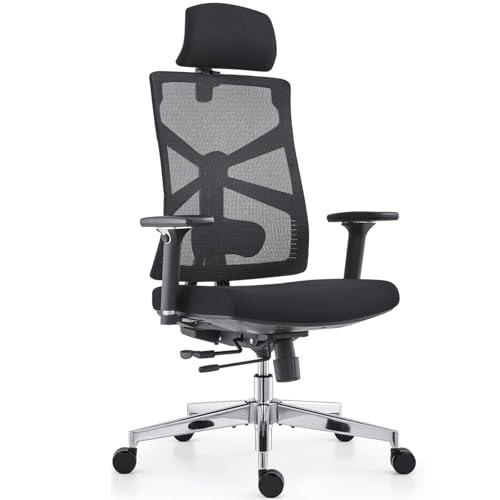 HOLLUDLE Sedia da Ufficio Ergonomica con Schienale Regolabile, Sedile Regolabile in Profondità, Braccioli 4D, Supporto Lombare e Poggiatesta 2D, Girevole a 360°, Design Moderno, Nera