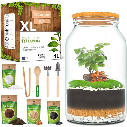 PYEF CRAFTS Terrarium Kit XL per un Ecosistema Autosufficiente - DIY Kit Terrario Piante Vetro 4L - Terrarium Vetro XL per Giardino in Bottiglia Ecosistema - (Senza Pianta)