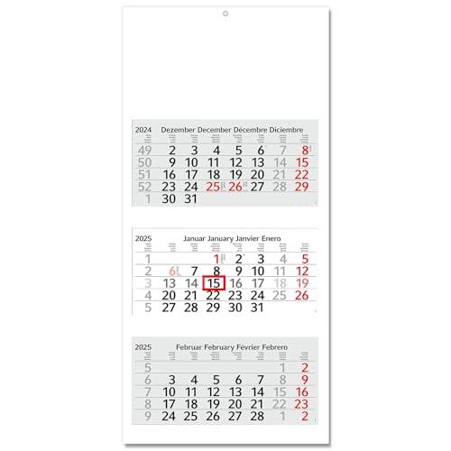 Calendario da 3 mesi 2025, 3 mesi, 33 x 70 cm, multilingue, D/GB/F/ES con cursore, calendario multifoglio
