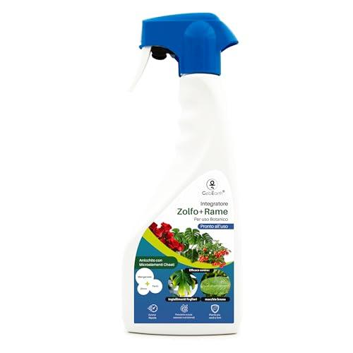 GebEarth® | Rame e Zolfo Per Piante Spray | Integratore per Piante contro Ingiallimenti, Carenze, Macchie Brune, Oidio e Peronospora | Sicuro in casa e in balcone.