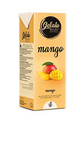 Gelato 4ever - Preparato per Gelato Pronto da Mantecare, Preparazione Facile e Veloce con Macchine per Gelati Domestiche o Professionali, Compatibile con Gelatiera Ninja Creami, 1 L, Made in Italy