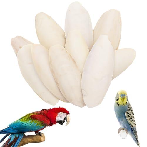Aerzouser 10 Pezzi Ossi di Seppia per Tartarughe, Ossi di Seppia per Pappagalli, 8-11 cm Pura Lucidatura Naturale, Adatto per l'integrazione di Calcio per Uccelli, Tartarughe e Altri Rettili