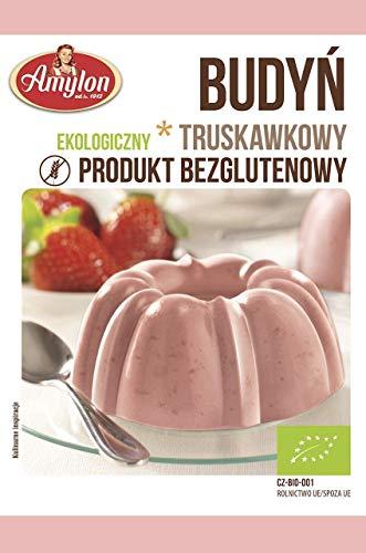 BUDINO ALLA FRAGOLA (SENZA GLUTINE) BIO 40g - AMYLON
