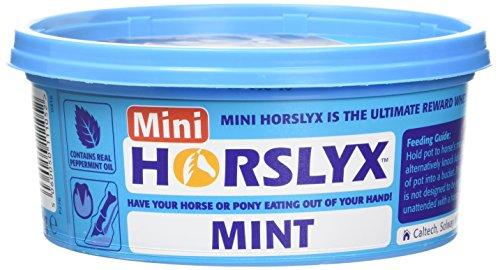 Horslyx Minis Licks 650 g