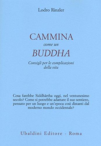 Cammina come un Buddha. Consigli per le complicazioni della vita