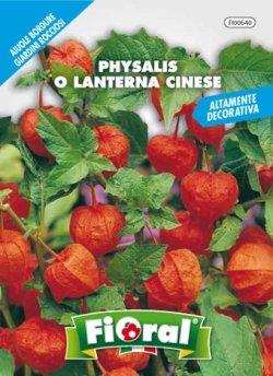 L'ORTOLANO Sementi Da Fiore Di Qualità In Bustina Per Uso Amatoriale (Physalis O Lanterna Cinese)