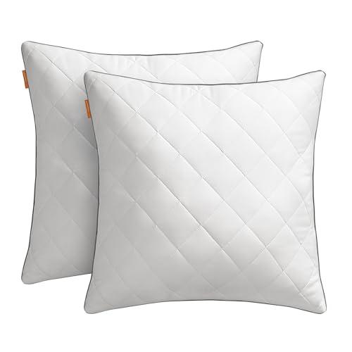 SONGMICS HOME Cuscini Letto Set da 2, Usi su 2 Lati,Federa Rinfrescante, Imbottitura 650 g, Inverno Estate, Lavabile in Lavatrice e Asciugabile Inferiore a 60°C