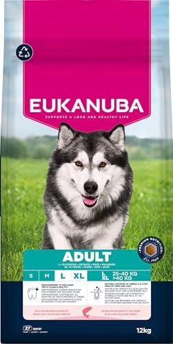 Eukanuba Mangime secco per cani con salmone e orzo per razze di taglia grande, mangime secco premium per cani adulti, 12 kg