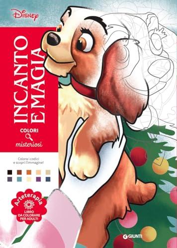 Incanto e magia. Disney. Colori misteriosi. Arteterapia. Libro da colorare per adulti. Ediz. a colori