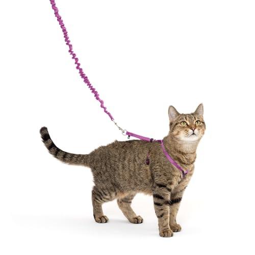PetSafe, come with Me Kitty, Pettorina e guinzaglio Elastico per Gatti