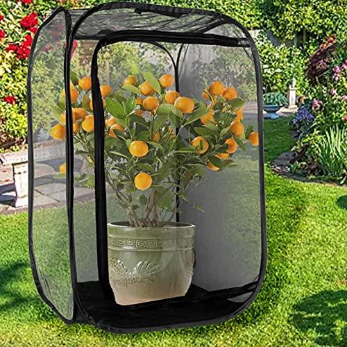 Rete pieghevole per habitat con insetti e farfalle, terrario pop-up 30 x 30 x 30 cm, per bambini, bambini che catturano cricket, lucciola, coccinella, pesce