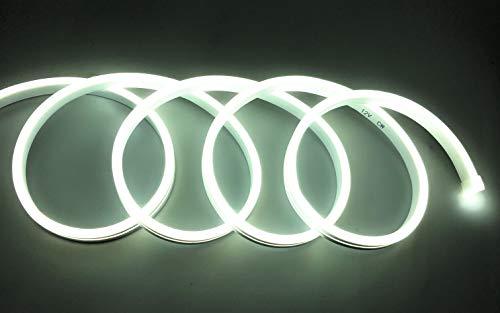 Striscia LED al neon flessibile impermeabile IP65 5 metri 120 LED/m 12 V colore freddo