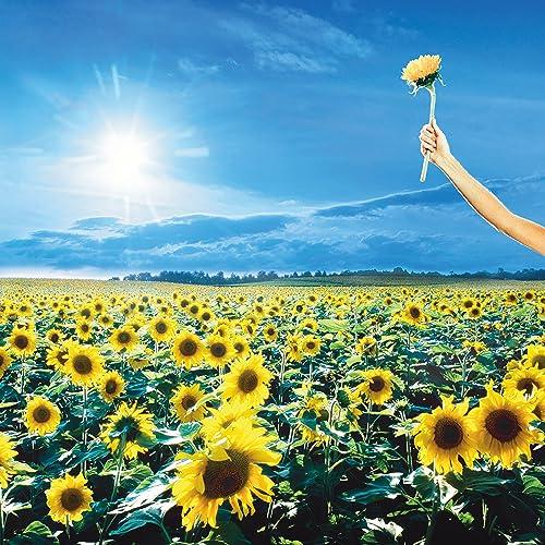 Thank You (Vinyl Black)