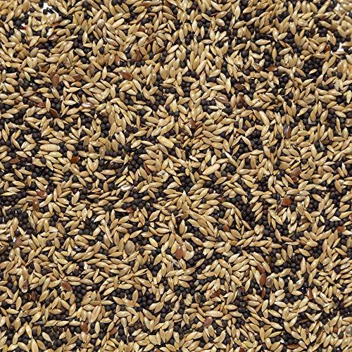 Il Contadino - Antichi Becchimi | MISCUGLIO per CANARINI | Formula Ricca di Semi Selezionati Adatta per Tutto L'Anno, No OGM, 100% Vegetale, Assenza di scarti. qualità Superiore (1 kg)