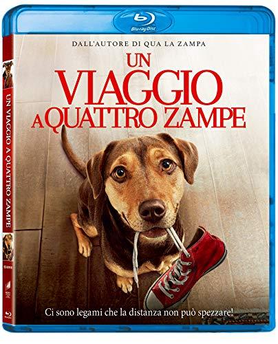 Un Viaggio A Quattro Zampe