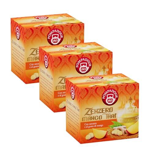 Pompadour, Infuso Zenzero Mango Thai, 30 Filtri (3 Confezioni da 10 Filtri), Gusto Dolce Leggermente Speziato, Senza Lattosio, Glutine e Allergeni, Vegan