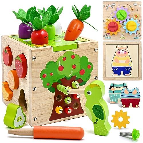 AiTuiTui Giochi Legno Bambini 1 2 3 Anni, 5 in 1 Montessori Cubo di Abilità Motorie Multiattivita per Regalo Educativi 18 Mesi Interattivi Selezionatore di Forme